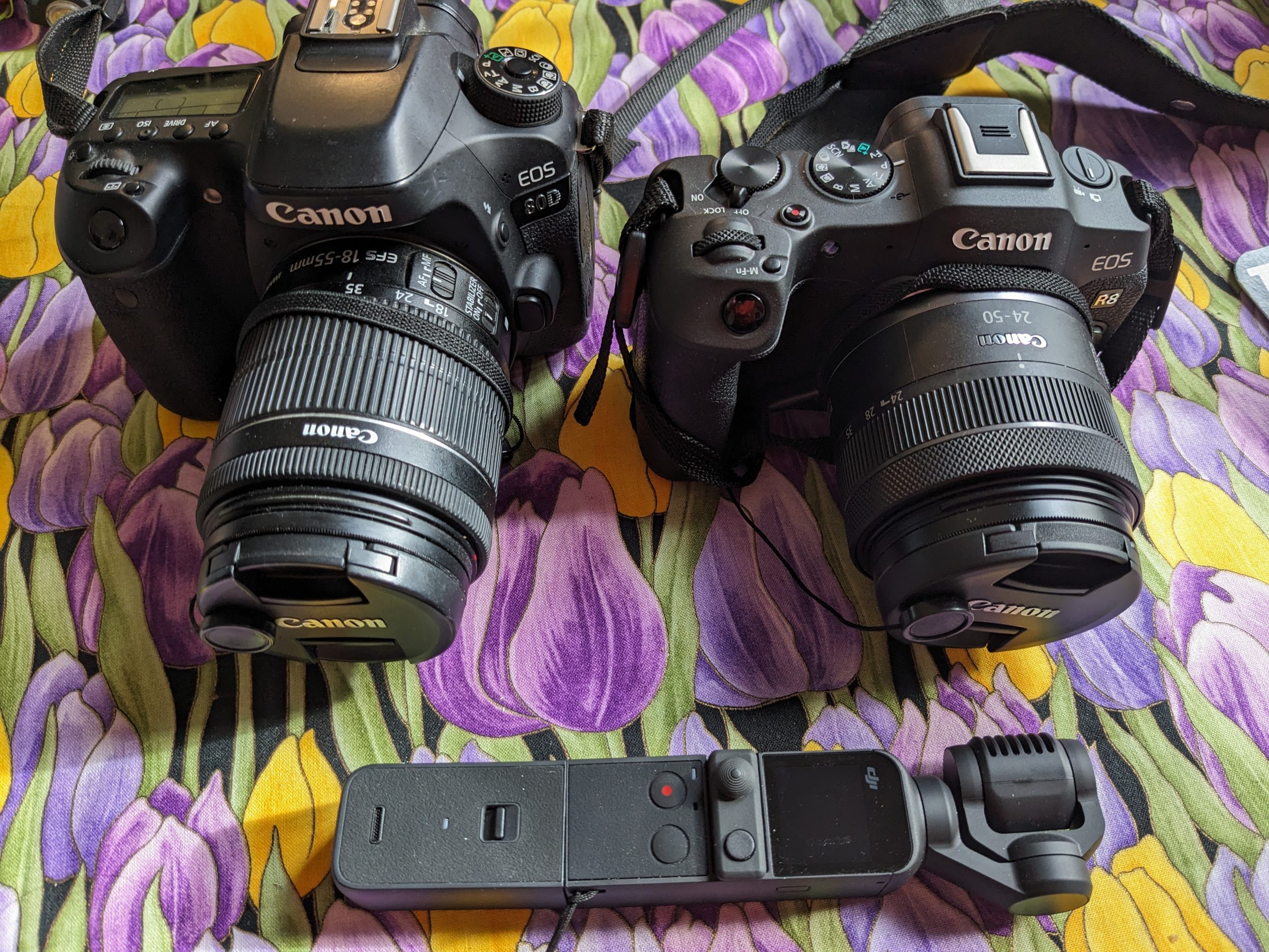 Canon 80D, R8, and DJI Pocket 2 Cameras